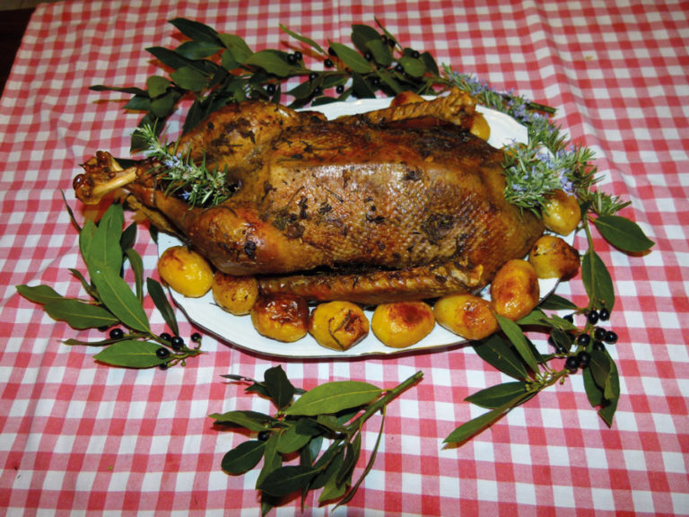 primo piatto piediripa DrBeckmann